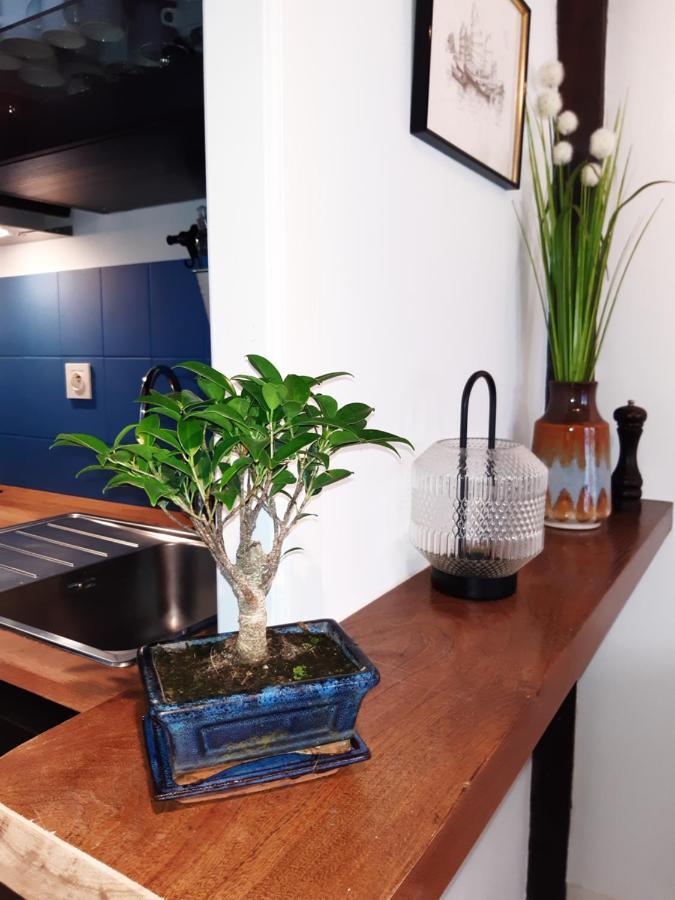Appartement Haute Ville Meuble Avec Cour Privative Granville Exteriör bild